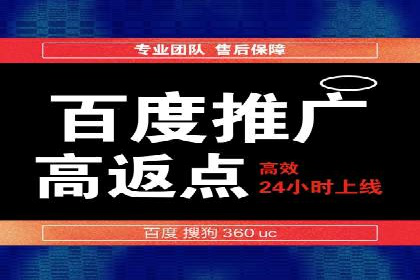 某企业通过百度广告实现品牌提升的历程